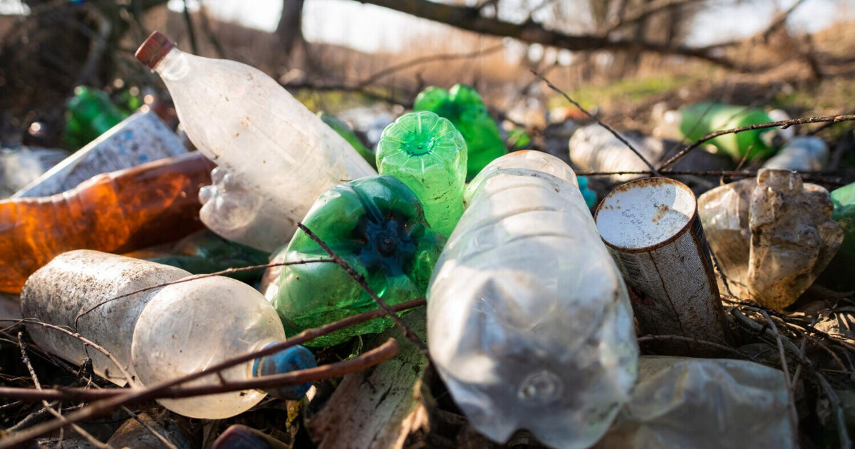 Complete huiskamer gedumpt in natuurgebied bij Baarlo