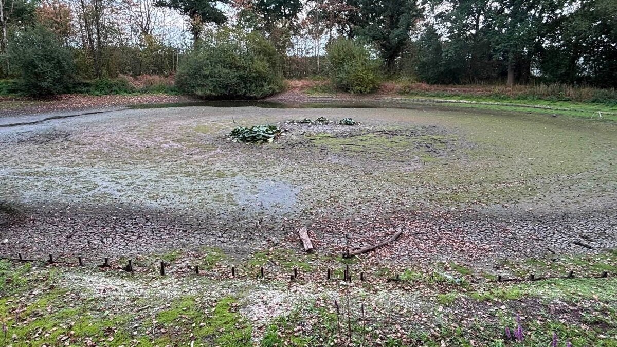 Vlasrooth droog 2