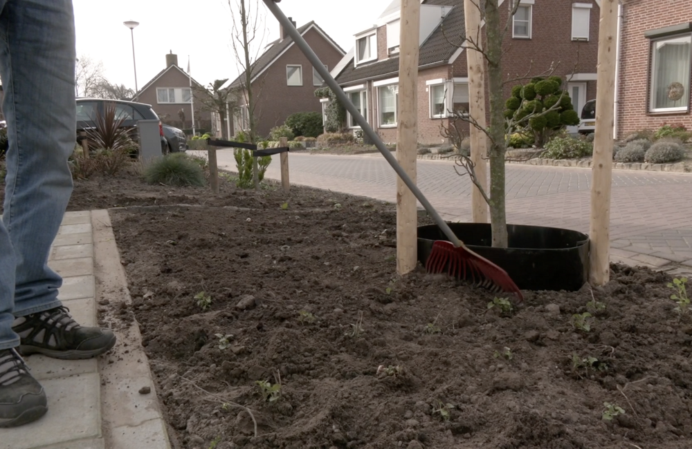 Arnoudstraat Maasbree.png