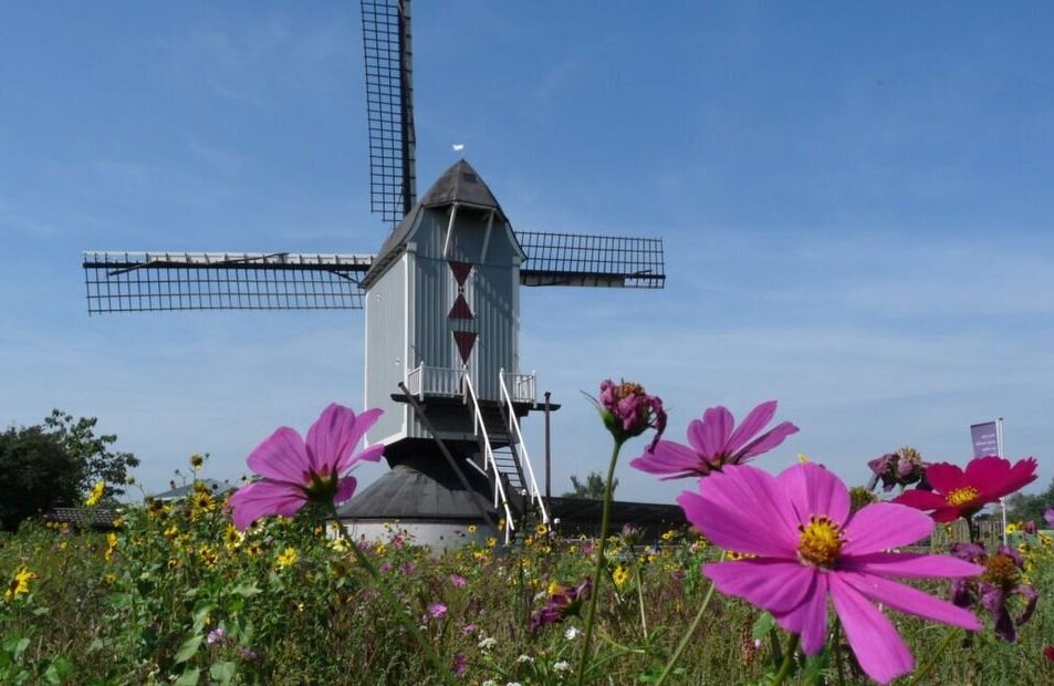 molen kessel ger.jpg