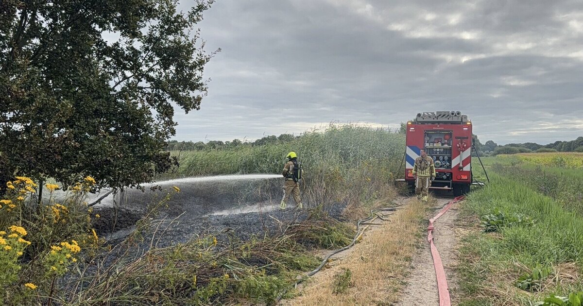 Bosbrand in buitengebied van Panningen onder controle