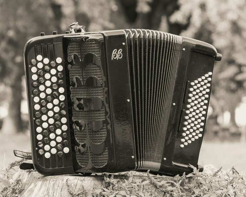 robert-cavlovic-accordeonunsplash