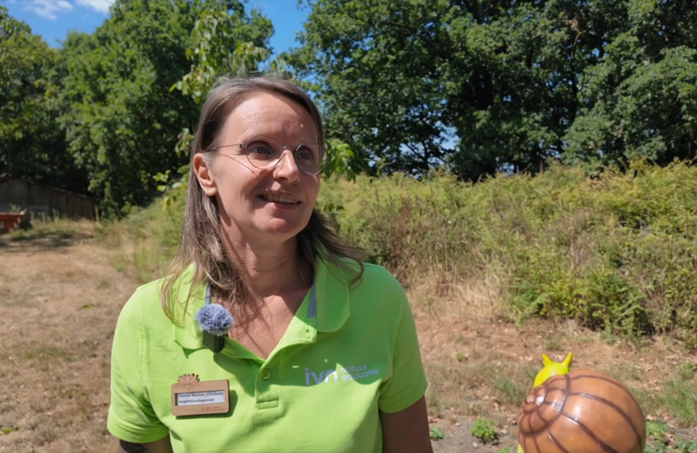 Boetegewoeën natuur in Reuver