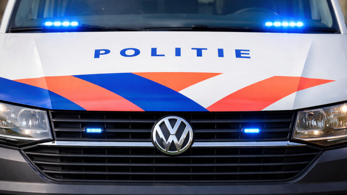 Politie ai