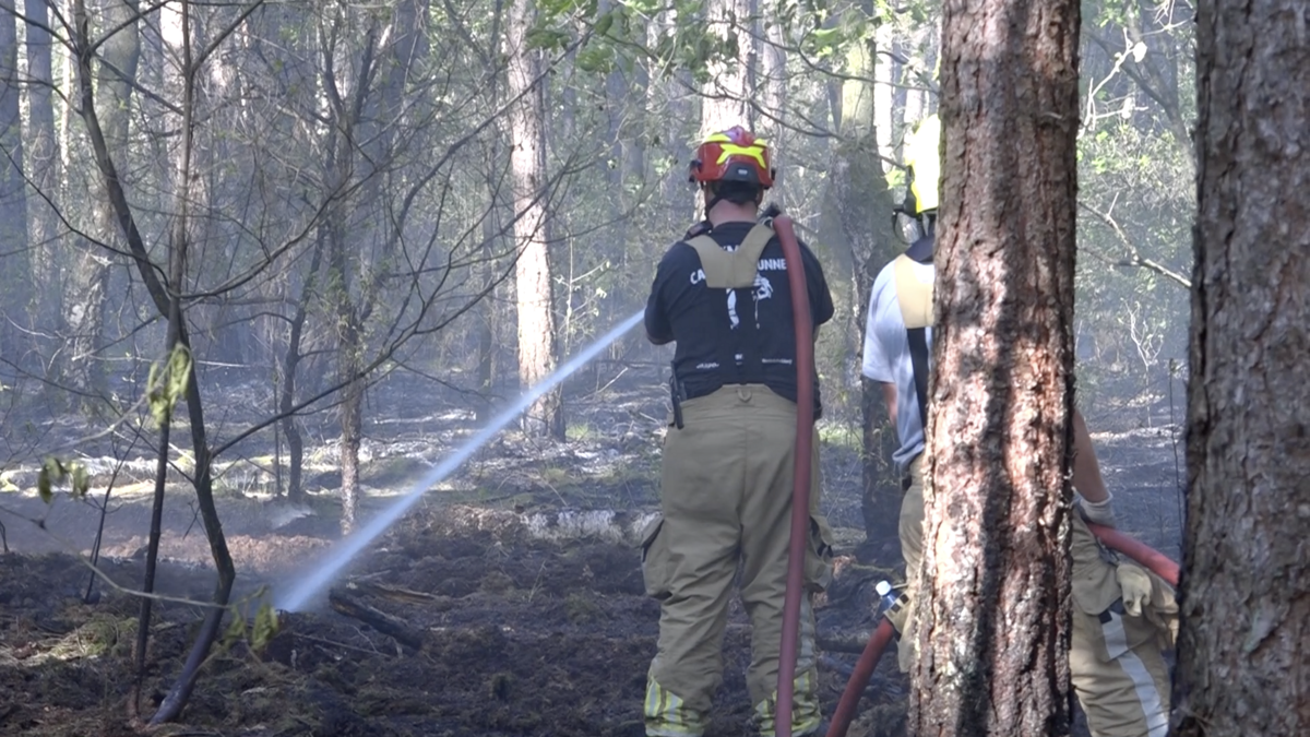 Bosbrand Lanterdweg