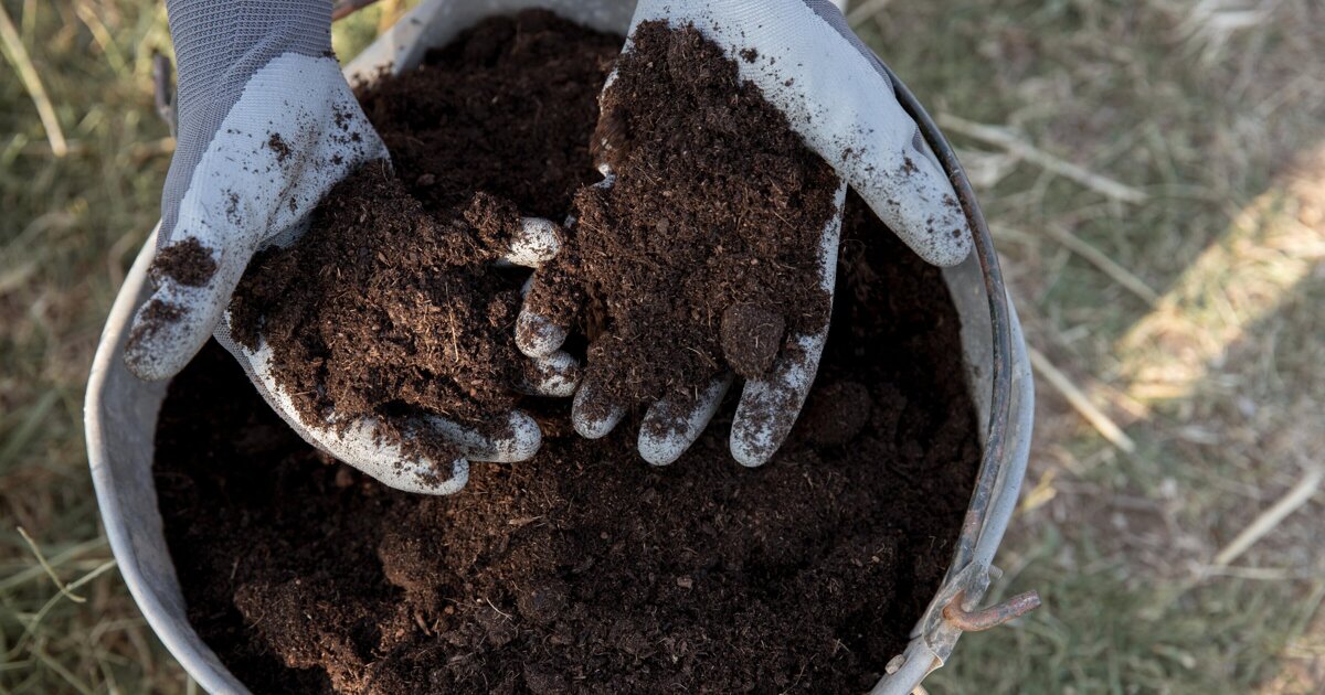 Gratis compost op te halen voor inwoners Peel en Maas